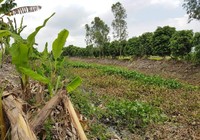 Đánh hàng xóm tử vong rồi ném xác xuống kênh phi tang