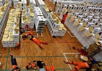 Hé lộ nguyên nhân cái chết của 92 nhân viên kiểm phiếu bầu cử