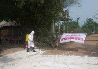 Thừa Thiên - Huế phát hiện thêm điểm dịch tả heo châu Phi
