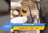 Bạn từng thấy người ta biến xương bò thành trang sức?
