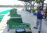 Công ty Nước mặt Sông Đuống xây sân golf trong nhà máy?