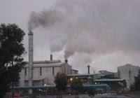 Trồng rau gần khu công nghiệp: Coi chừng ung thư