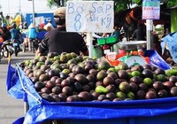 Coi chừng phạt nặng vì bán trái cây cân thiếu