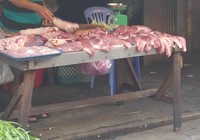 Xử lý ra sao nếu bán heo nhiễm bệnh?