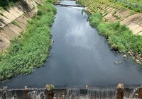 Giải quyết tình trạng kênh Ba Bò ô nhiễm ngày càng nặng