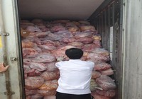 Hàng ngàn trường hợp vi phạm an toàn thực phẩm ở TP.HCM