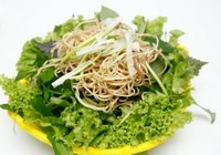 Cẩn trọng kẻo nhiễm giun, sán chó từ rau sống