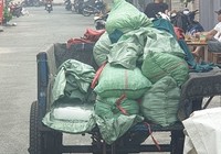 Phạt nặng nếu bán nước đá 'bẩn'