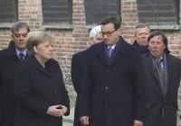 Bà Merkel lại suýt vấp ngã, dấy tin đồn về sức khỏe giảm sút