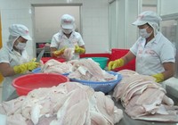 Người Thái Lan đột nhiên 'khoái' ăn cá tra Việt Nam
