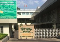 Tổng Giám đốc, Chủ tịch Hội đồng thành viên Sagri bị kỷ luật