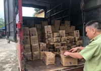 8.000 que kem Trung Quốc bị bắt giữ tại Lào Cai