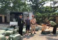 Chặn đứng hơn 2 tấn nầm lợn nhập lậu từ Trung Quốc