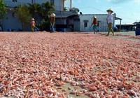 Phát hiện thủy hải sản khô kém chất lượng, báo ai?