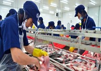 Cá tra Việt Nam được Mỹ giảm thuế chống phá giá