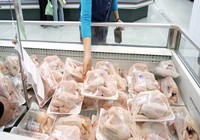 Gà nhập khẩu vào Việt Nam có đảm bảo an toàn?
