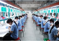 Bị phạt vì không báo cáo việc thay đổi lãnh đạo