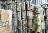 Bó tay với 'giám đốc xe ôm' không biết chữ