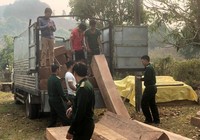 Phát hiện đưa gỗ trái phép từ Lào về Việt Nam