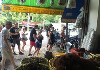 Phát hiện 23 trường hợp dùng thẻ hướng dẫn viên giả