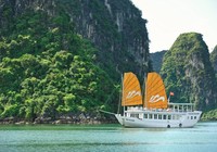 Rút giấy phép 73 công ty kinh doanh lữ hành quốc tế