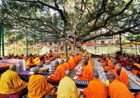 Ấn Độ giảm phí cấp thị thực qua mạng cho khách Việt