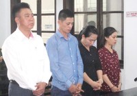 12 luật sư bào chữa cho tổng giám đốc chứa mại dâm