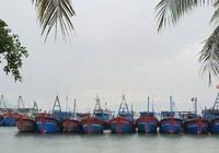 Bão số 6: Ba tỉnh miền Trung cấm biển, cho học sinh nghỉ học 