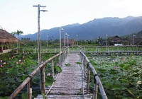 Chưa đọc những điều này thì đừng nghĩ xấu về Nha Trang!