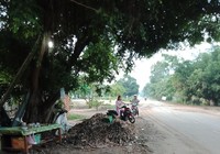 Gia hạn điều tra vụ án về cái chết của người thu gom mì mót