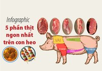 5 phần thịt ngon nhất trên con heo
