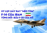 Uy lực máy bay Mèo F-14 của Iran từng đối đầu F-35 của Mỹ