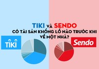 Tiki và Sendo có tài sản khổng lồ nào trước khi về một nhà?