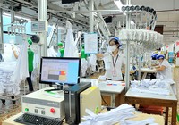 EVFTA: Cơ hội để nâng chất hàng made in Việt Nam