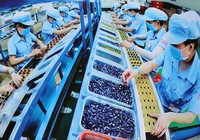 Chính phủ hỗ trợ người mất việc, ngừng việc vì COVID-19