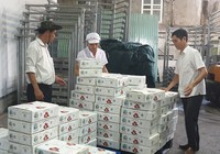 Nghịch lý: Phí vận chuyển nội địa đắt hơn đi Mỹ, Pháp