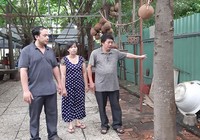 Vụ định nhảy lầu tự tử: Tòa Cấp cao kháng nghị hủy án