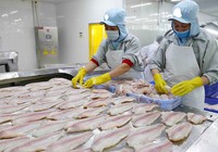 Bức xúc vì hàng xuất khẩu bị đánh thuế như hàng chợ
