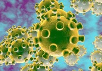 'Hiệp sĩ chống dịch' Trương Hữu Khanh chỉ cách né virus corona
