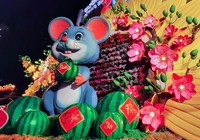 Cận cảnh đường hoa Cần Thơ 2020 trước giờ khai mạc