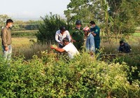 Người đàn ông bị kéo lê trên đường ray gần 20 m