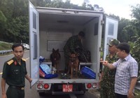 Hàng trăm chiến sĩ cùng chó nghiệp vụ vây bắt kẻ vượt ngục