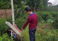 Đã có kết quả mẫu đất nhà 3 anh em tử vong nghi do Whitmore