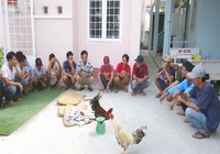 Bắt quả tang 21 đối tượng đá gà ăn tiền ngày giáp tết