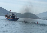Tìm thấy thi thể bé trai mất tích trên biển