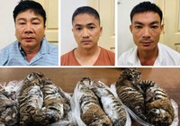 'Ông trùm' buôn bán hổ xuyên quốc gia lãnh án 6 năm tù