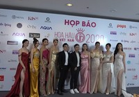 Hoa hậu VN 2020: 2 người đẹp sẽ được đặc cách vào chung kết
