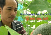 Tỷ phú bật mí giải pháp làm giàu từ trái dưa lưới