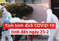 Toàn cảnh dịch COVID-19 ngày 25-2