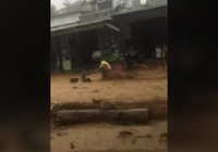 Video: Cứu người bị lũ cuốn trôi ở Nam Trà My